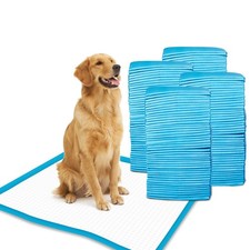 Petfamily Super-Absorbent 24 by 24 Inches Dog Training Pads - 100 Count of Pads