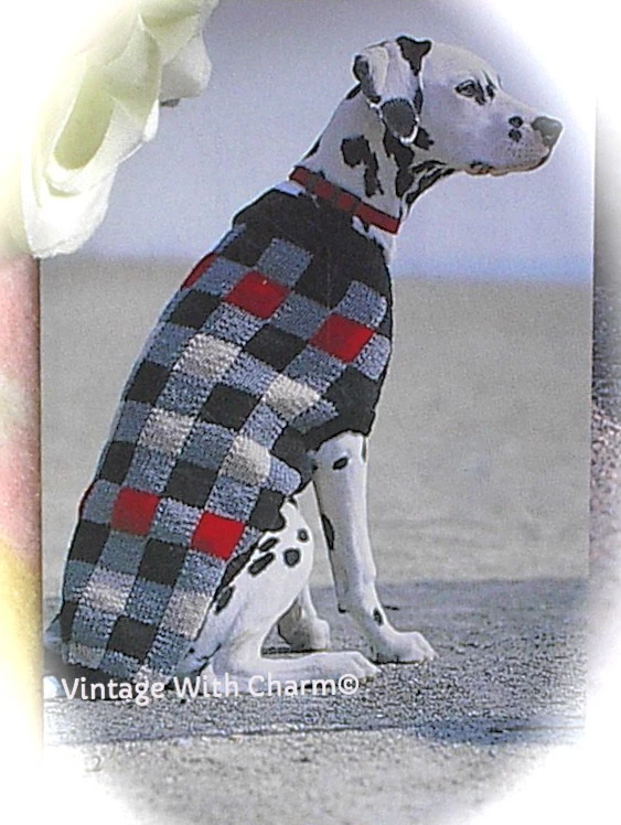 Chihuahua online knitting pattern