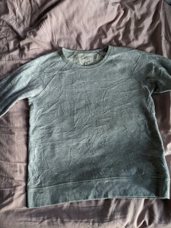 CHAMPION Sweatshirt Grey Mens M, photo 1 of 4