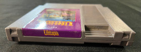 NINTENDO NES EXODUS ULTIMA GAME UNTESTED