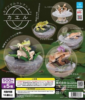 Caprium Collection Frog Collection Set 5 Kapseln Spielzeug Gacha NEU