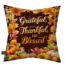 Briarwood Lane Thankful Blessings Indoor/Outdoor Pillow