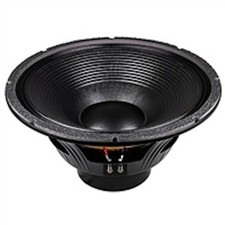 p audio 12 inch 300 watt speaker price
