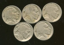 5 BUFFALO NICKLES - 4 DATELESS