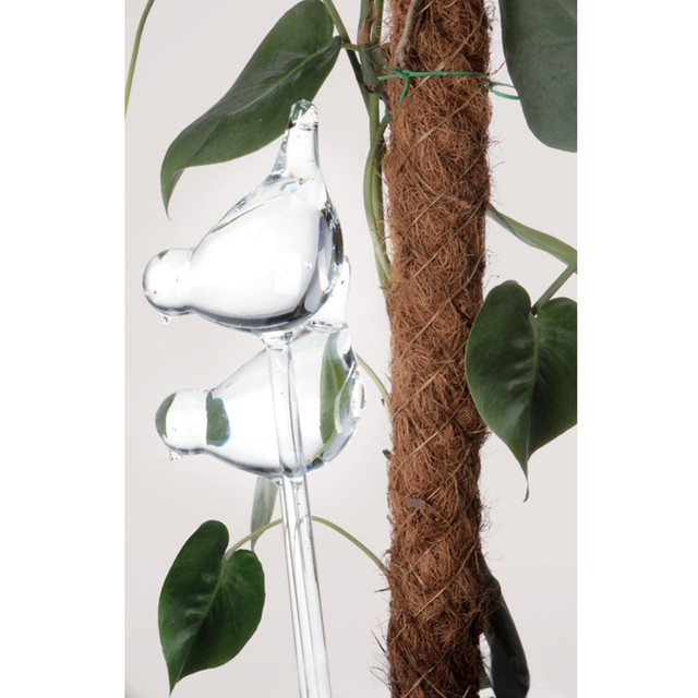 Miayical Pflanzenbewässerungspfähle 10 Stück - Automatische Bewässerung Für Zimmerpflanzen