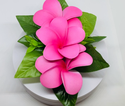 3 Paar Hawaiianische Haarnadeln – Frangipani-Blumen Aus Schaum, Weiß & Rosa, Je 7 Cm