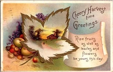 Postcard Cheery Harvest time Greetings International Art Pub PM 1911