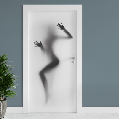 Türfolie ''Silhouette Frau'' 90x200cm Türposter Aufkleber Folie Tapete TF01-28