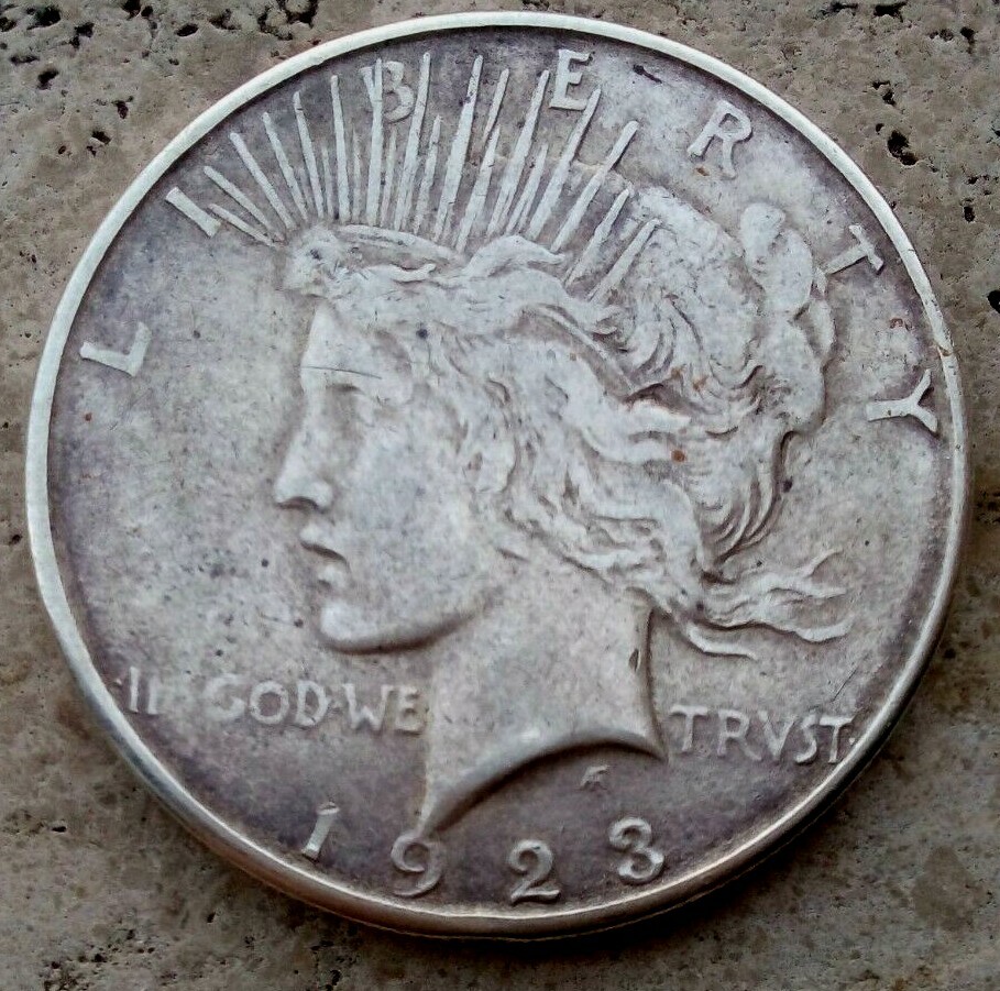 Tarnished Silver Dollar How To Clean Silver Coin At Home Silver