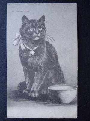 Kätzchen / Katze Motiv KATZE mit BOGEN & GLOCKE um 1903 Postkarte von Valentine
