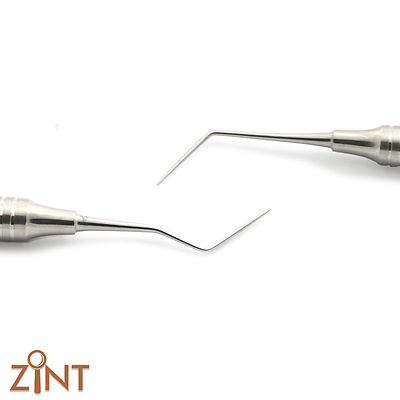 Il Nuovo Igienista Dentale:«una Professione Intellettuale - Foto 4