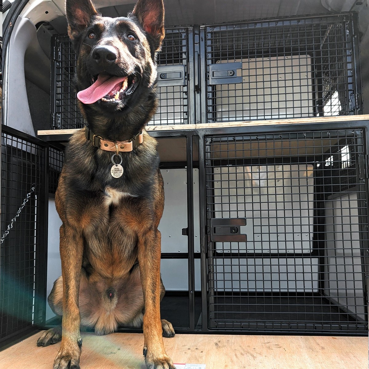 Heavy Duty Custom Made Dog Kennel Cages for Cars and Vans Secure