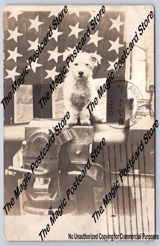 USS Wolverine Mascot Dog on Navy Gun RPPC Cute Antique Photo Detroit Cover 1910