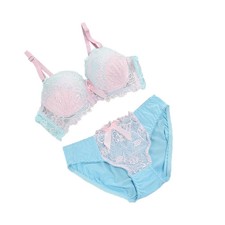 Floral Lace Bra Set Underwire Push Up Support Matching Briefs Comfortable