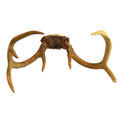 NICE 7 Point Deer Antlers Skull Cap Mount Taxidermy Decor Hunting Lodge 13 x 6''