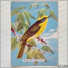 Sanitarium Australian Birds Animals #20 Helmeted Honeyeater Ceral Card B (CC193)