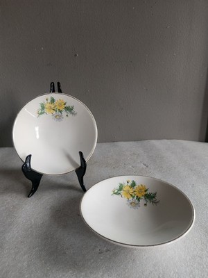  2Vintage Fruit/Dessert Bowl Part Of X4011 Collection By Edwin Knowles   Floral