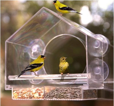 AMSAMOTION Fenster Futterhaus für Vögel, Vogelhaus Fensterscheibe mit S