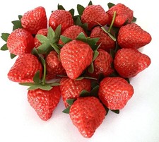 18PCS Plastic Artificial Red Strawberries Fake Lifelike Simulation Realistic ...