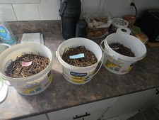 Clous Carrés Antique