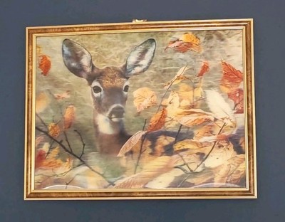 Fawn Animal 3D Picture Live Life Pictures Framed Print Young Deer