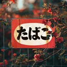 Vintage Japanese Kanji Character Hanging Tin Metal Signs Home Décor 8x12