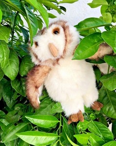 Folkmanis Barn Owl Full Body Hand Puppet Stuffed Plush Friendly