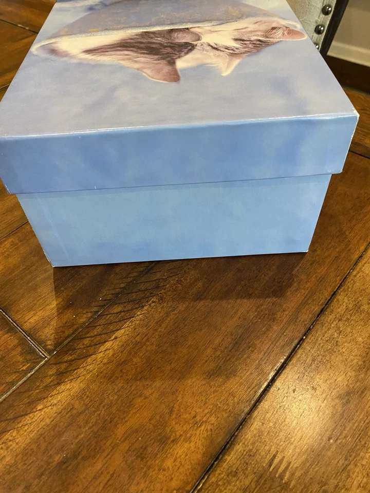 Caja de almacenamiento de recuerdo de cartón foto vintage de Rachael Hale azul gatitos gatos Foto 4 de 4