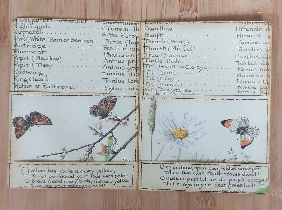 Handmade Edith Holden Junk Journal Ephemera Folder, postcards, card ...