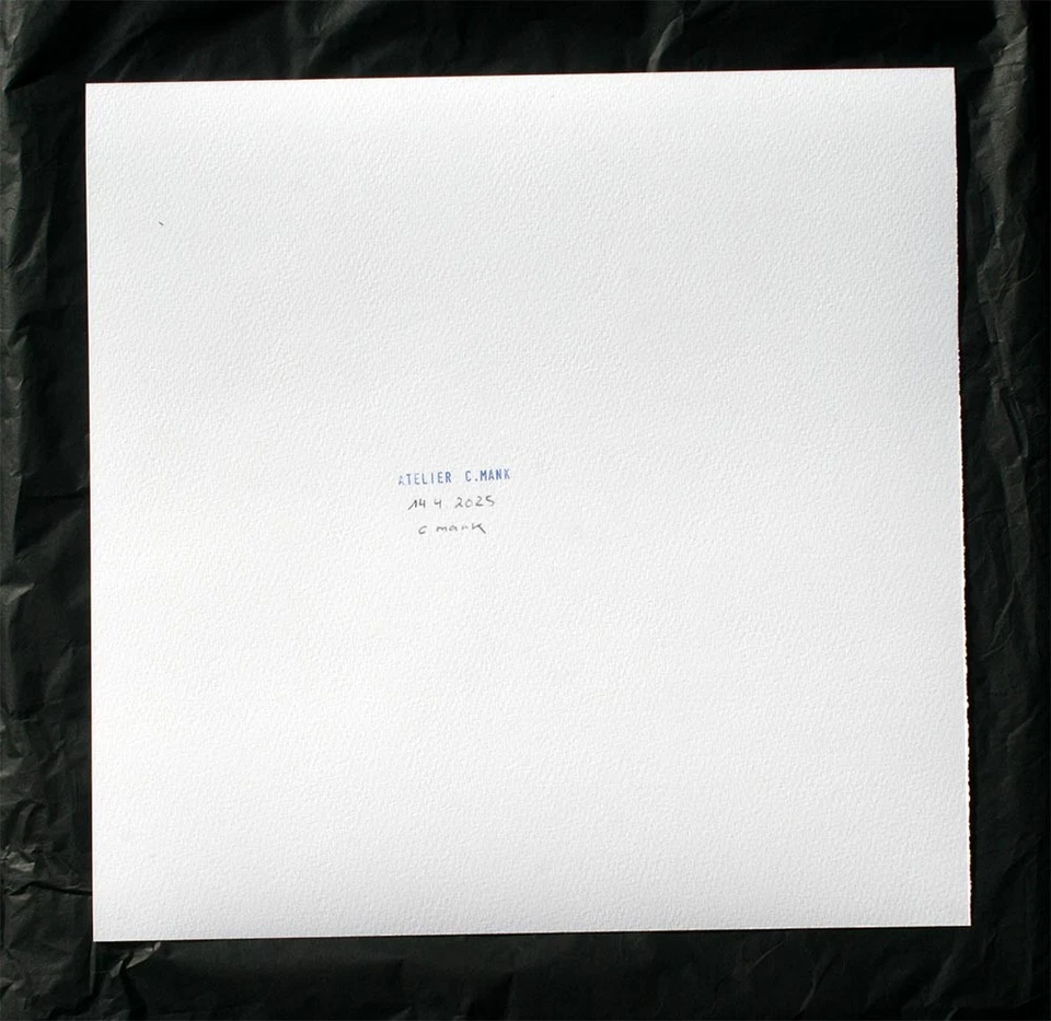 ORIGINAL CAMILLE MANK UNIKAT "BLUR #12 ASTRONAUTIN " 1/1, 2025 [ c.mank ] - Bild 4 von 4