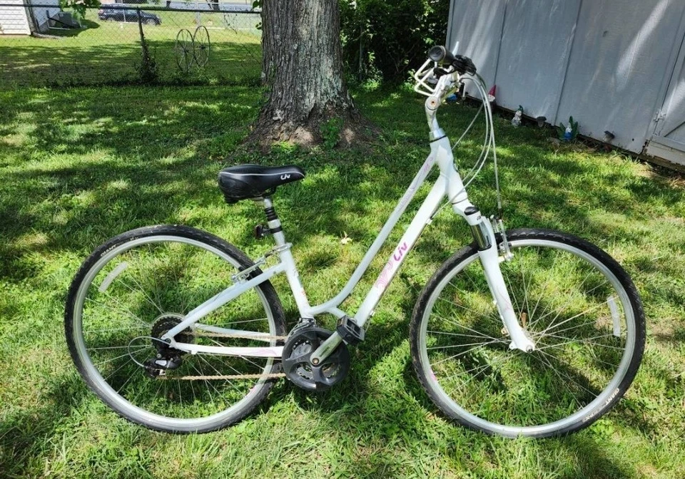 Giant Cypress DX, Comfort Hybrid, Medium, Barely Used. - Image 2 of 4