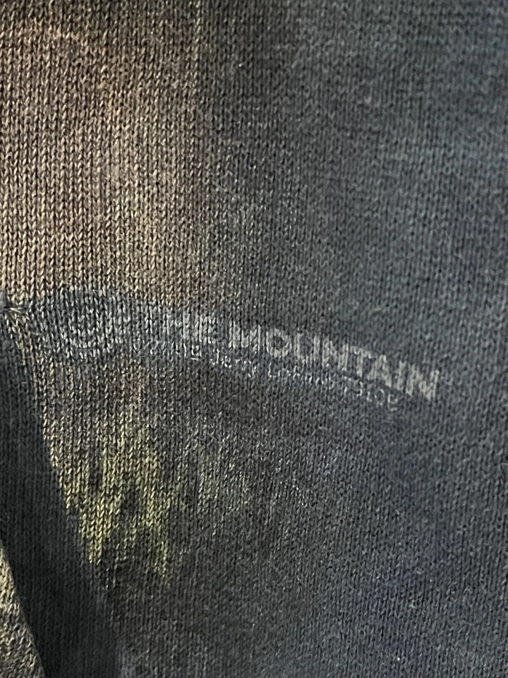 Sudadera con capucha de dinosaurio vintage The Mountain “Brontosaurus” juvenil contenedor pequeño 1 Foto 3 de 4