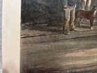 Picture 11 of 12