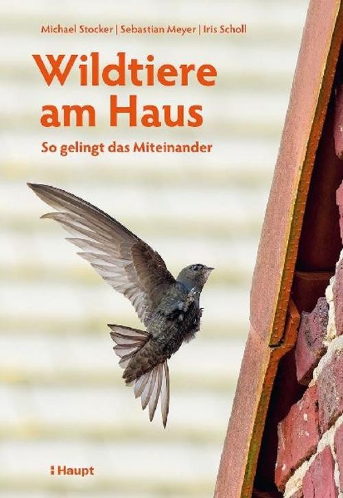 Wildtiere am Haus Michael Stocker