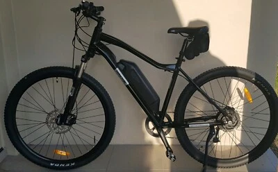 velectrix ascent 29 mtb