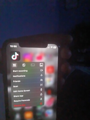  Wit TICTOK APP on phone apple iPhone XS Max - 256 GB - Gray (Unlocked)