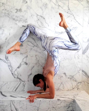 Angel Aerial Silks/Lyra Leotard Costume Dance Circus Unitard Catsuit Halloween