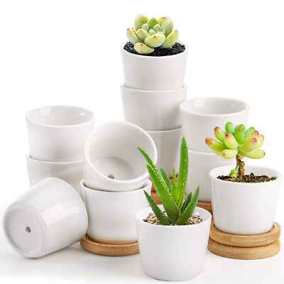 self water moss pole Intergrated Moss Pole & Self-Watering Cache Pot main image 0