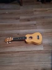 beginners Small guitar