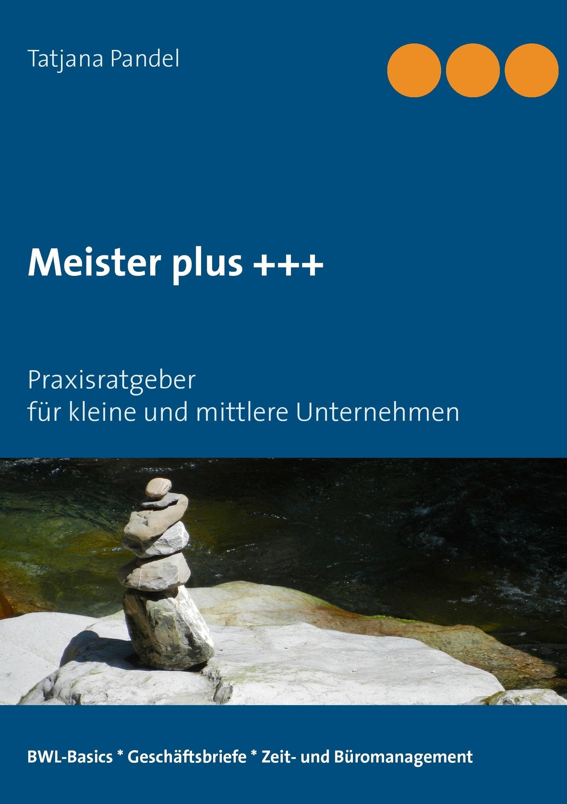 Meister Plus +++ Praxisratgeber Für Kleine Und Mittlere Unternehmen