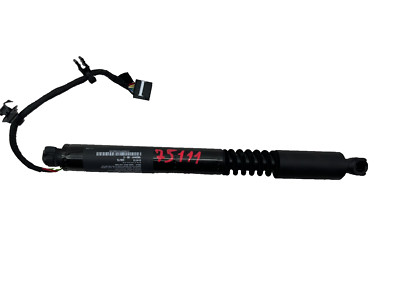  16-25 Model X Rear Left/Right Secondary Falcon Door Lift Gas Strut 1063441-00-C