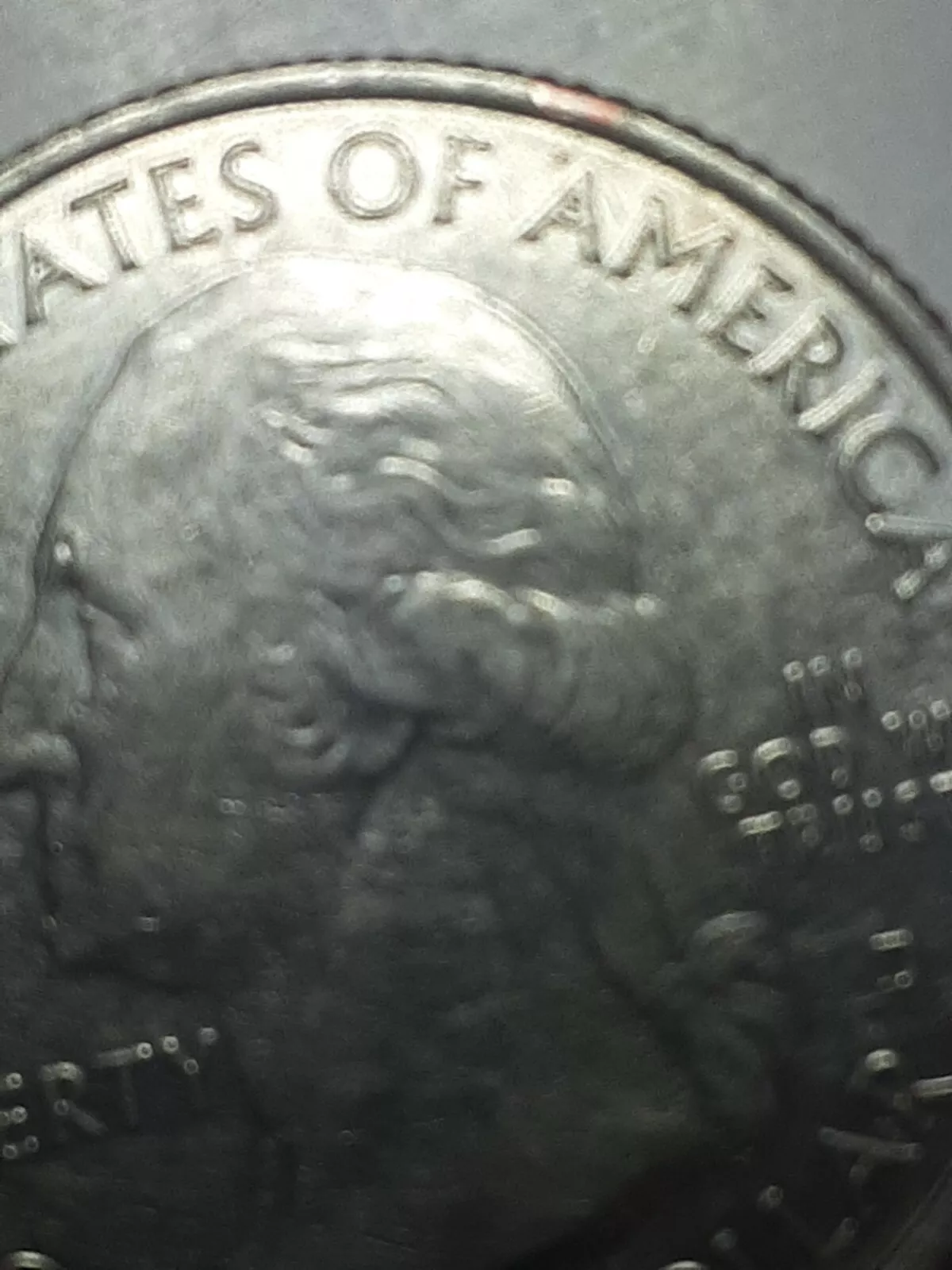 Picture 6 of 12