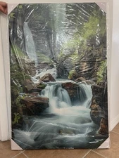 A Painting Of A  Rainforest Forest(48.25 In. By 32.25 In.)