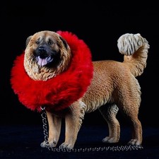 Modellino cane pastore caucasico scala 1/6 simpatico animale domestico divertente statuina ornamento