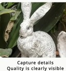 Ribbit Bunnies Set Of 2