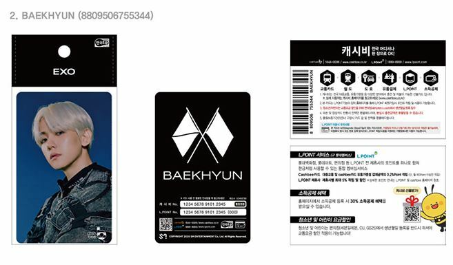 superM exo 交通カード cashbee tmoney ベッキョン 2種 EXO OBSESSION SMTOWN OFFICIAL GOODS CASHBEE TRANSPORTATION CARD
