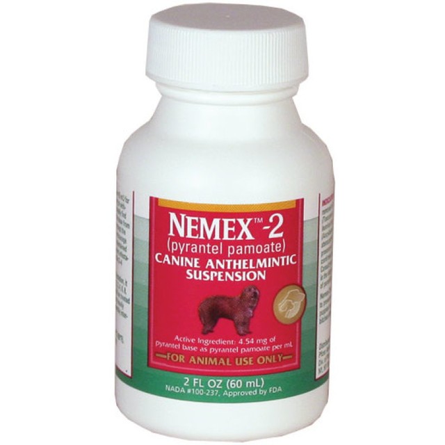 Pfizer Nemex II Dog Puppy Wormer (pyrantel Pamoate) 2 Oz Bottle for