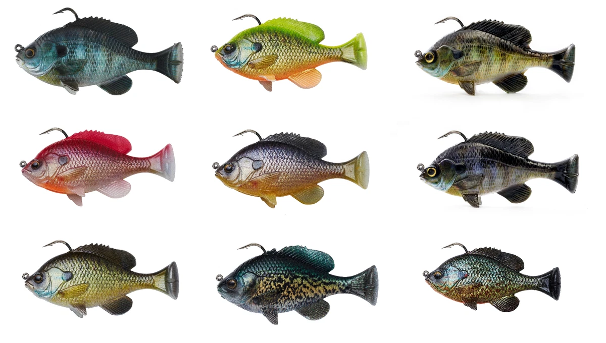 Bluegill deals