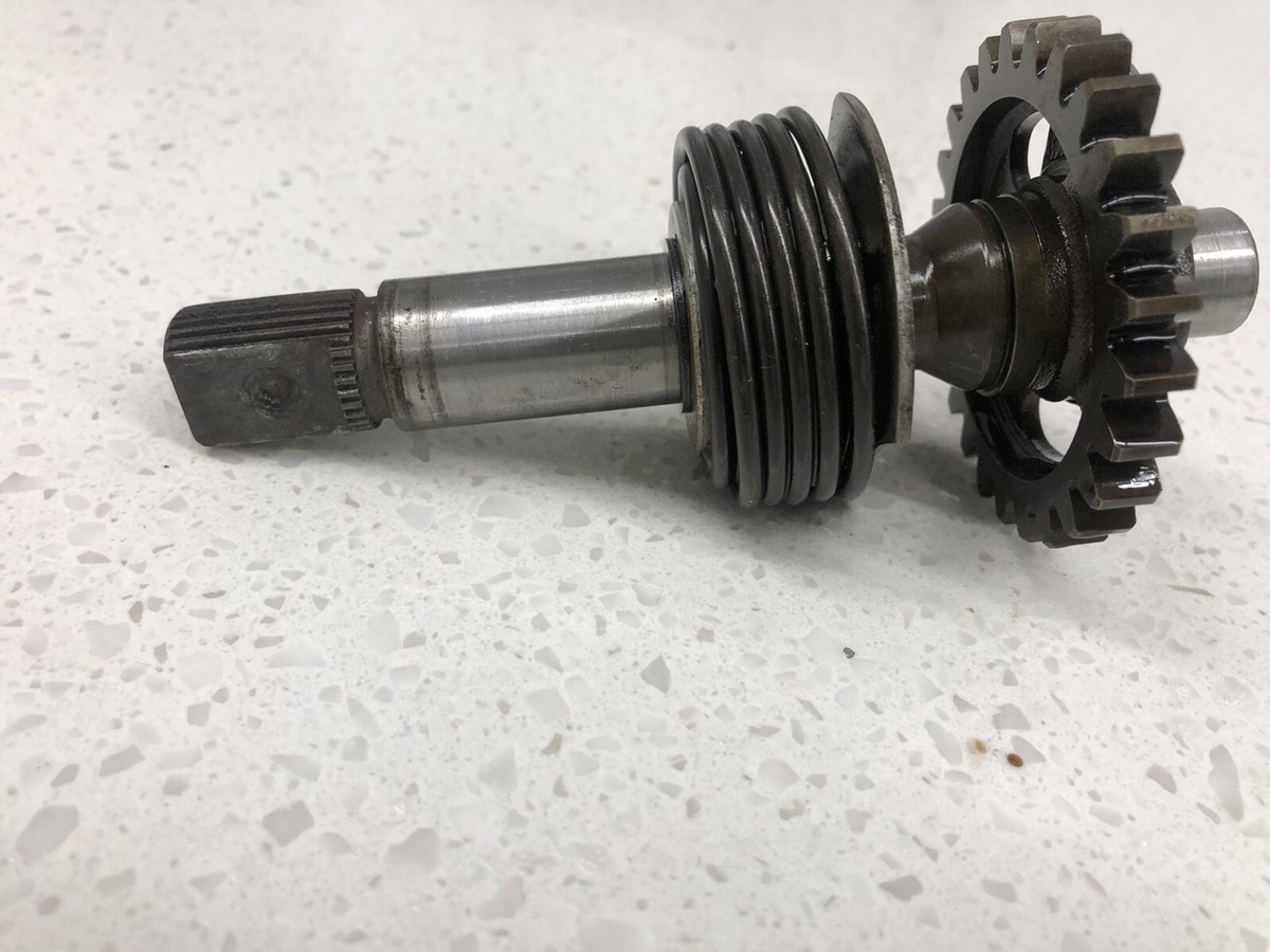 チーター $_57.PNG?set_id=880000500F