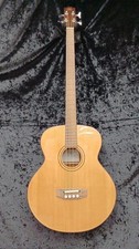 SX JBG30E electric acoustic bass